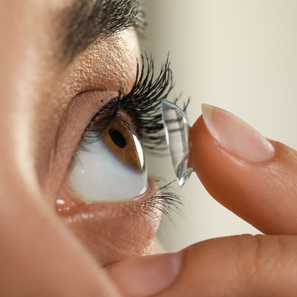 Contact Lenses Contacts Asheville